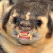 When We Have Each Other We Have Everything