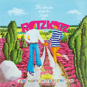 lebensfroh + farbenfroh