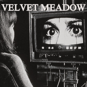 Its Just My Feelings Grow