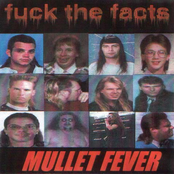 Mullet Fever cover