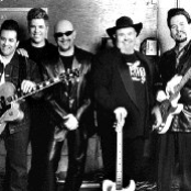 the fabulous thunderbirds