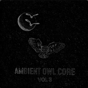 Ambient Owl Core (Vol 3)