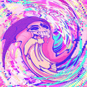 stupid stupid stupid!