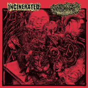 Incinerated