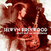 Brown Paper Bag by Selwyn Birchwood