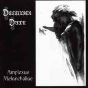 Rejoin The Fire by December Dawn