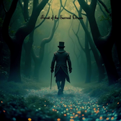 Forest of the Surreal Dream