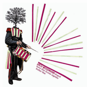 Draped Horse Blue Licorne Argentée Feather Blue