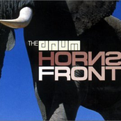 Horns Front