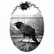 Youth Funeral / Scowler Split