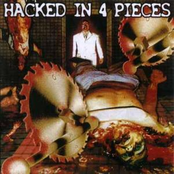 Hacked in 4 Pieces