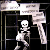 Wayne Shredsky