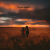 Magnificent Life