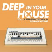 Deep in Your House (Vol 6 - Classic Hits Selected by Demon Ritchie)