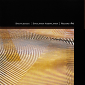 Simulation Assimilation