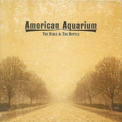 California by American Aquarium