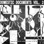 Domestic Documents Vol 2: Compiled by Butter Sessions and Noise In My Head
