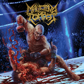 The Knock​-​out Fulfilment