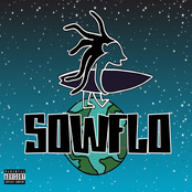 Sowflo: Sowflo