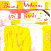 Bound Volumes of Birds s/t