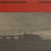 Painting the Passports Brown