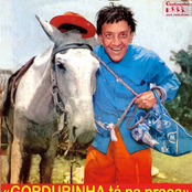 Gordurinha Tá Na Praça