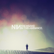 In This Ambiance (NIN Remixed)