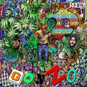 Gonzo