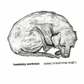 Mouth To Mouth by Hawksley Workman