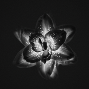 Dancing with a Ghost