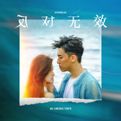 反對無效 - Single