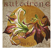 Autodrone: Panic