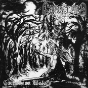 Witches' Holocaust by Graveland