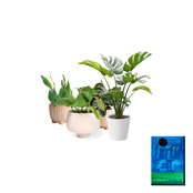 Nomad's Confession Booth ॐ✧ı｜π