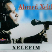 ahmed xelil