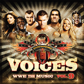 WWE: The Music, Volume 9