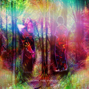 )_0001_FELL'!$^OFF2024