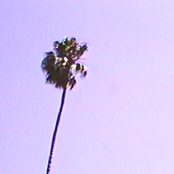 used to know you/aerobics