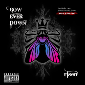 Bleed by Bow Ever Down