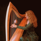 Celtic Folk Harp