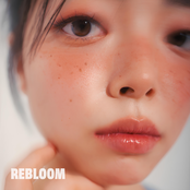 Rebloom
