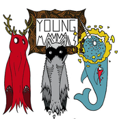 Confetti by Young Mammals