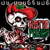 Rotte Plukken