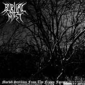 Gloomy Storms Of Desolation by Burial Mist
