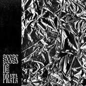 Ossos De Prata