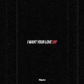 I Want Your Love V.I.P.