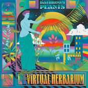 Virtual Herbarium