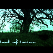 Book Of Burrow