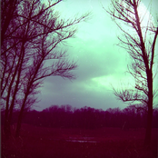 VII
