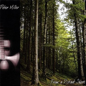 From A Distant Shore